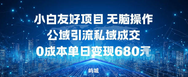 小白友好项目，无脑操作，公域引流私域成交，0成本单日变现680米-智云网