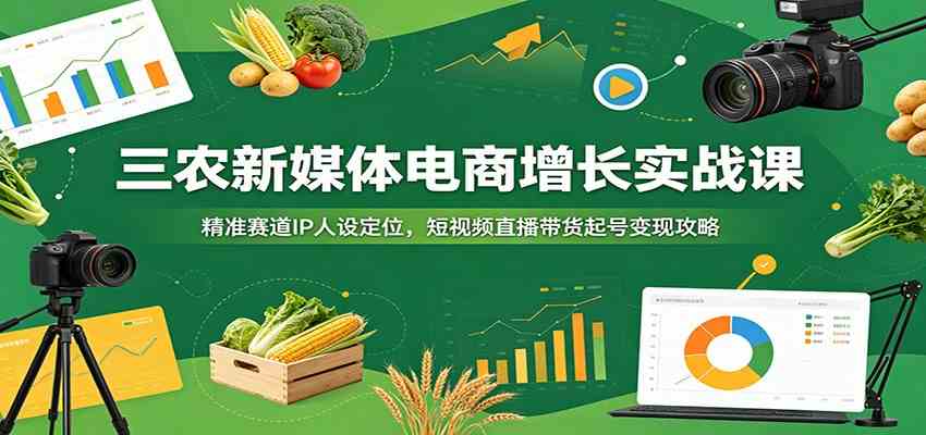 三农新媒体电商增长实战课：精准赛道IP人设定位，短视频直播带货起号变现攻略-智云网