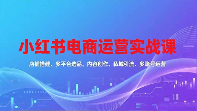 小红书电商运营实战课,店铺搭建、多平台选品、内容创作、私域引流、多账号运营等玩法-智云网