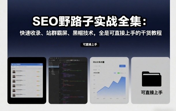 SEO野路子实战全集：快速收录、站群霸屏、黑帽技术，全是可直接上手的干货教程-智云网