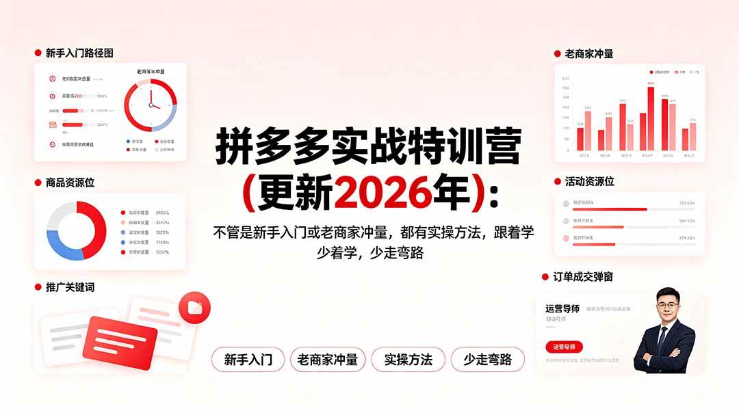 (19291期)拼多多实战特训营(更新2026年):不管是新手入门或老商家冲量,都有实操方法,跟着学,少走弯路-智云网