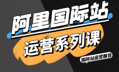 醒目老师·阿里国际站运营系列课(更新3月)-智云网