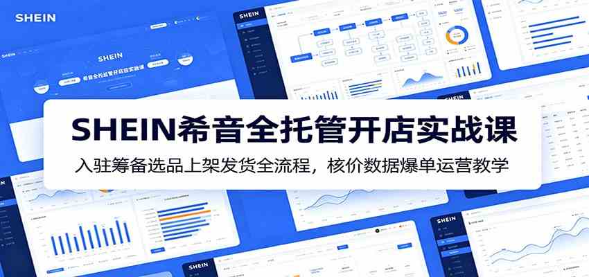 SHEIN希音全托管开店实战课:入驻筹备选品上架发货全流程,核价数据爆单运营教学-智云网