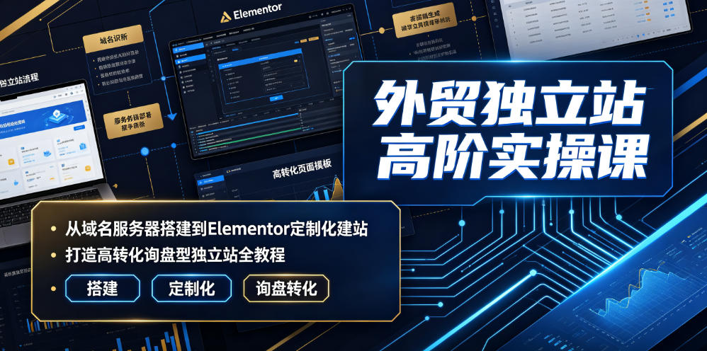 外贸独立站高阶实操课|从域名服务器搭建到Elementor定制化建站,打造高转化询盘型独立站全教程-智云网