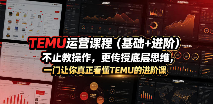 TEMU运营课程（基础+进阶），不止教操作，更传授底层思维，一门让你真正看懂TEMU的进阶课-智云网